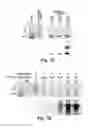Fig. 14 - Probe for imaging PARP-1 activity
