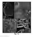 Fig. 22 - Probe for imaging PARP-1 activity