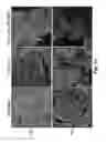 Fig. 23 - Probe for imaging PARP-1 activity