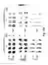 Fig. 25 - Probe for imaging PARP-1 activity