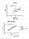 Fig. 29 - Probe for imaging PARP-1 activity