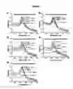 Fig. 09 - Virus detection