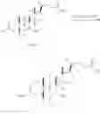 Fig. 570 - Bile acid derivatives as FXR/TGR5 agonists and methods of use thereof