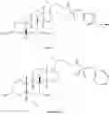 Fig. 586 - Bile acid derivatives as FXR/TGR5 agonists and methods of use thereof