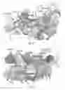 Fig. 05 - Bidentate-binding modulators of LRRK2 and JNK kinases