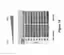 Fig. 11 - VIRUS-LIKE PARTICLE VACCINES