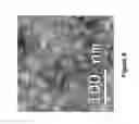 Fig. 15 - VIRUS-LIKE PARTICLE VACCINES