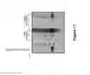 Fig. 18 - VIRUS-LIKE PARTICLE VACCINES