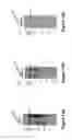 Fig. 20 - VIRUS-LIKE PARTICLE VACCINES