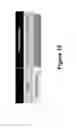 Fig. 23 - VIRUS-LIKE PARTICLE VACCINES