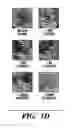 Fig. 05 - Genetic reprogramming of bacterial biofilms