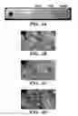 Fig. 12 - Genetic reprogramming of bacterial biofilms