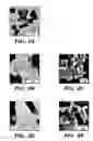 Fig. 13 - Genetic reprogramming of bacterial biofilms