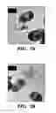 Fig. 15 - Genetic reprogramming of bacterial biofilms