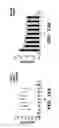 Fig. 19 - Genetic reprogramming of bacterial biofilms