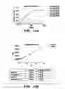 Fig. 23 - Genetic reprogramming of bacterial biofilms