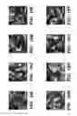 Fig. 27 - Genetic reprogramming of bacterial biofilms
