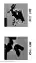 Fig. 30 - Genetic reprogramming of bacterial biofilms