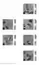 Fig. 33 - Genetic reprogramming of bacterial biofilms
