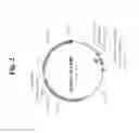 Fig. 03 - NUCLEIC ACIDS FOR TREATMENT OF ALLERGIES