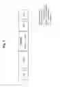 Fig. 04 - NUCLEIC ACIDS FOR TREATMENT OF ALLERGIES