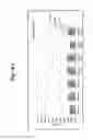 Fig. 23 - NUCLEIC ACIDS FOR TREATMENT OF ALLERGIES