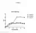 Fig. 09 - Peptides