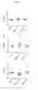 Fig. 10 - Peptides