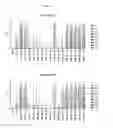 Fig. 12 - Peptides