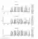 Fig. 15 - Peptides