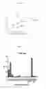Fig. 17 - Peptides