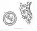 Fig. 03 - Protein engineered systems for delivery of molecules