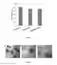 Fig. 11 - Protein engineered systems for delivery of molecules