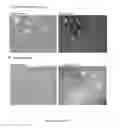 Fig. 24 - Protein engineered systems for delivery of molecules