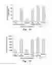 Fig. 02 - IMMUNE SYSTEM MEDIATOR