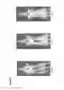 Fig. 40 - Polymeric forms of H-NOX proteins
