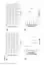 Fig. 43 - Polymeric forms of H-NOX proteins