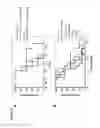 Fig. 45 - Polymeric forms of H-NOX proteins