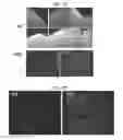 Fig. 11 - Modulation of synaptic maintenance