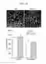 Fig. 14 - Modulation of synaptic maintenance