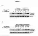 Fig. 02 - Uses of antibodies to interleukin-6 in cancer treatment