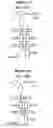 Fig. 40 - Chimeric antigen receptor and methods of use thereof