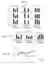 Fig. 04 - Preventive or therapeutic agent for inflammatory disease