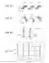 Fig. 05 - Preventive or therapeutic agent for inflammatory disease