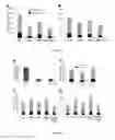 Fig. 06 - COMPOSITIONS AND METHODS FOR TREATING BONE CONDITIONS