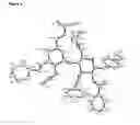 Fig. 06 - Oligosaccharide Compounds