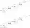 Fig. 49 - Oligosaccharide Compounds