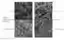 Fig. 01 - Polymeric solutions, methods of manufacture thereof and articles manufactured therefrom