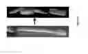Fig. 09 - Polymeric solutions, methods of manufacture thereof and articles manufactured therefrom