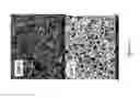 Fig. 10 - Polymeric solutions, methods of manufacture thereof and articles manufactured therefrom